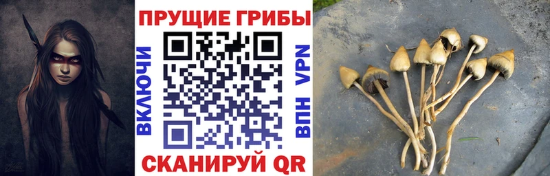 Купить  Мантурово  Галлюциногенные грибы мухоморы 